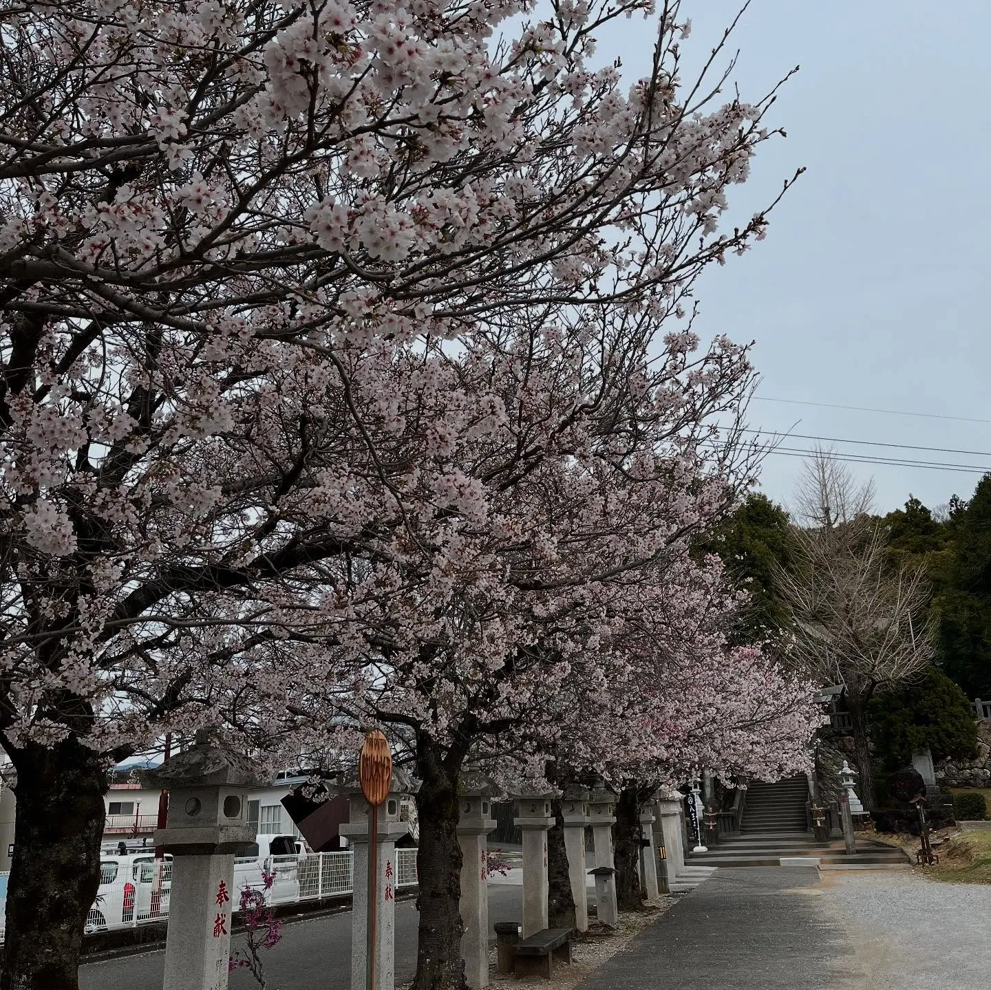 いつもありがとうございます