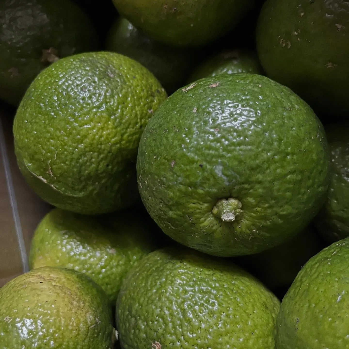 11月も宜しくお願い致します